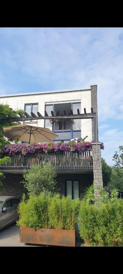 Lovely 1 Bedroom Apartment With Garden Amsterdam Zewnętrze zdjęcie